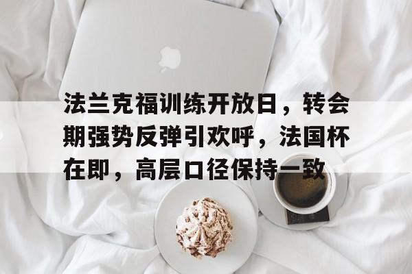 九游电脑版下载-法兰克福训练开放日，转会期强势反弹引欢呼，法国杯在即，高层口径保持一致的简单介绍