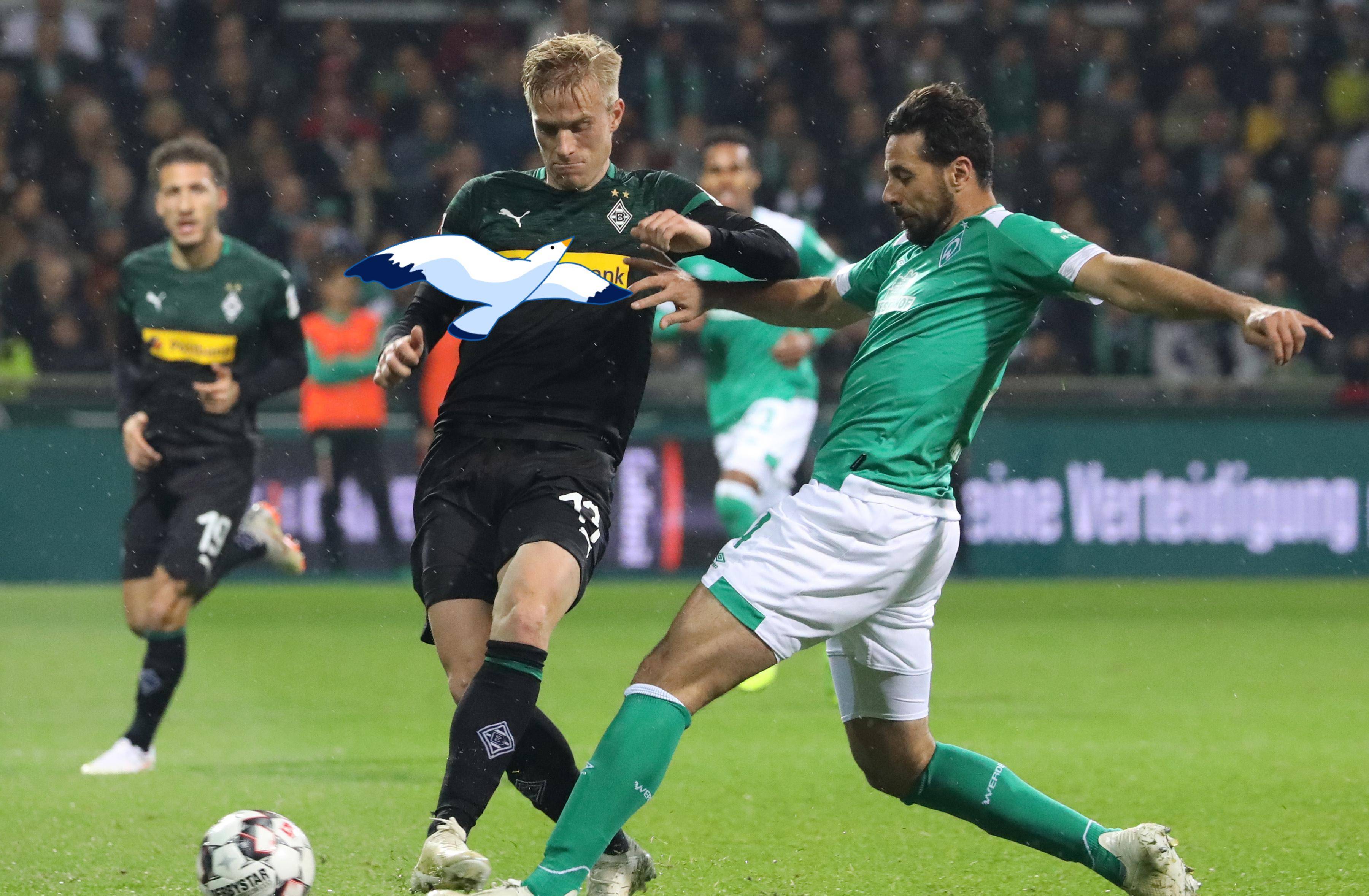 九游PC版-关于门兴格拉德巴赫远射贴柱备战德甲赛前布莱顿调整名单以备英超，这操作让人直呼：巴特勒迎来三赛季高光表现的信息